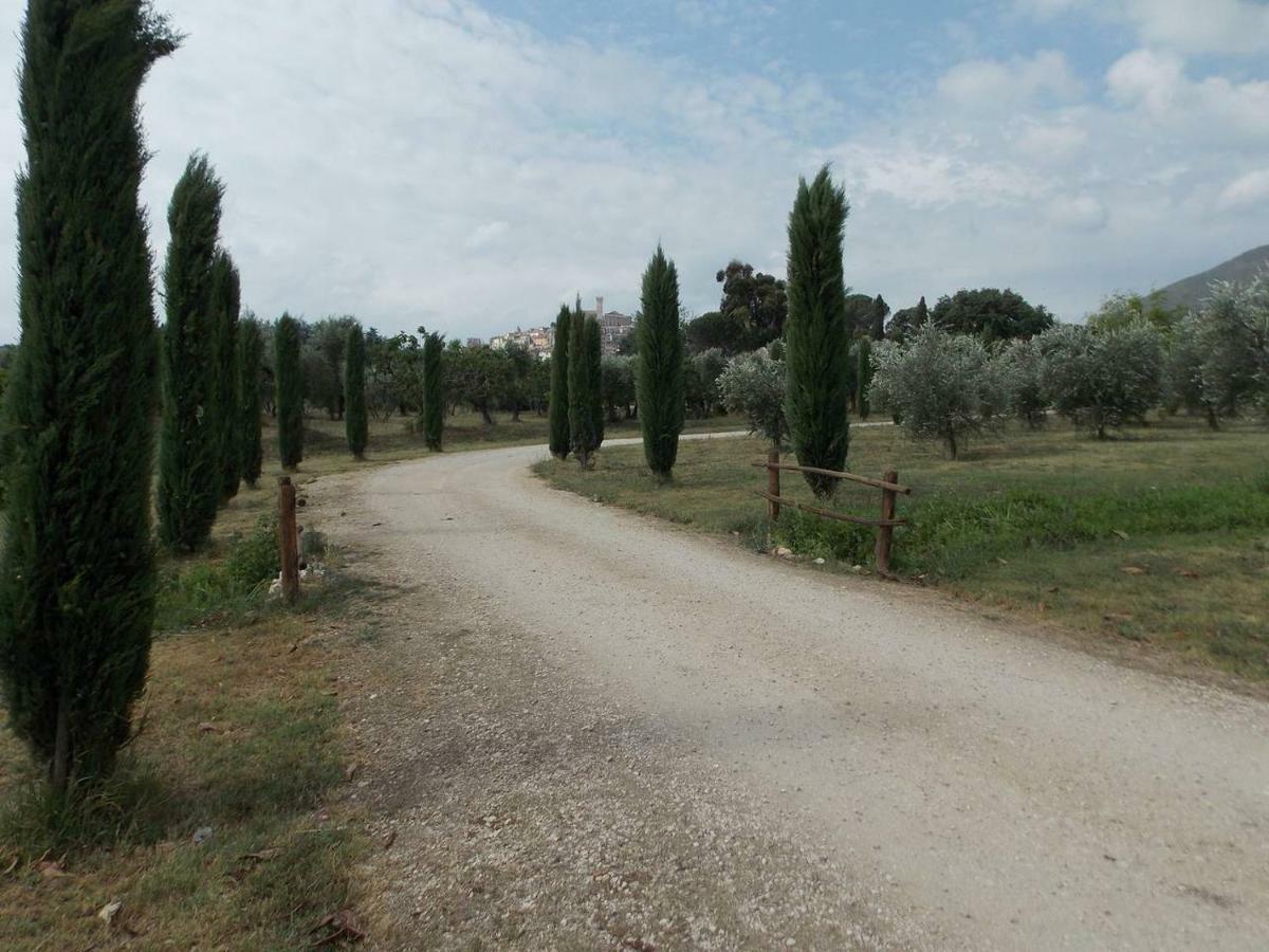 Agriturismo Cento Ducati Palombara Sabina 外观 照片