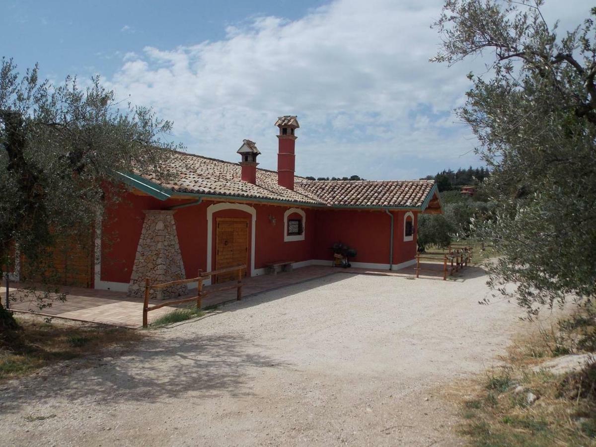 Agriturismo Cento Ducati Palombara Sabina 外观 照片