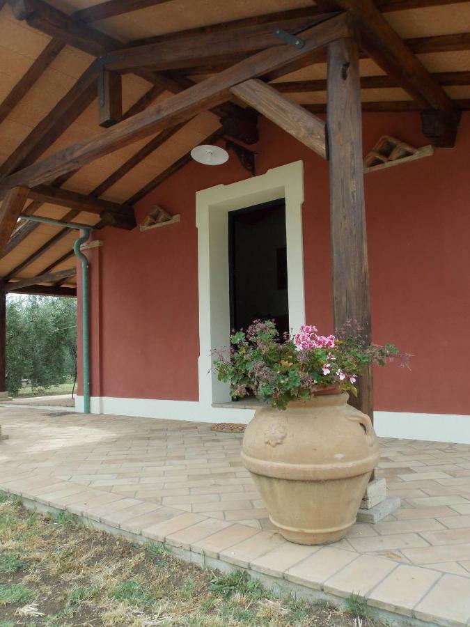Agriturismo Cento Ducati Palombara Sabina 外观 照片